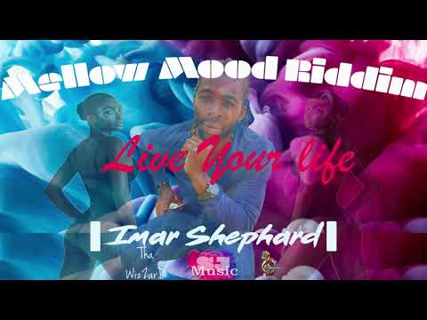 Imar Shephard x SJ Music – Live Your Life (Mellow...